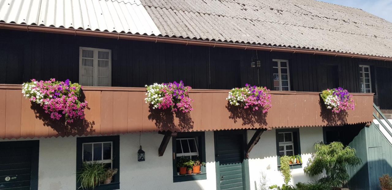 Gasthaus Sternen Post Oberried  Ngoại thất bức ảnh